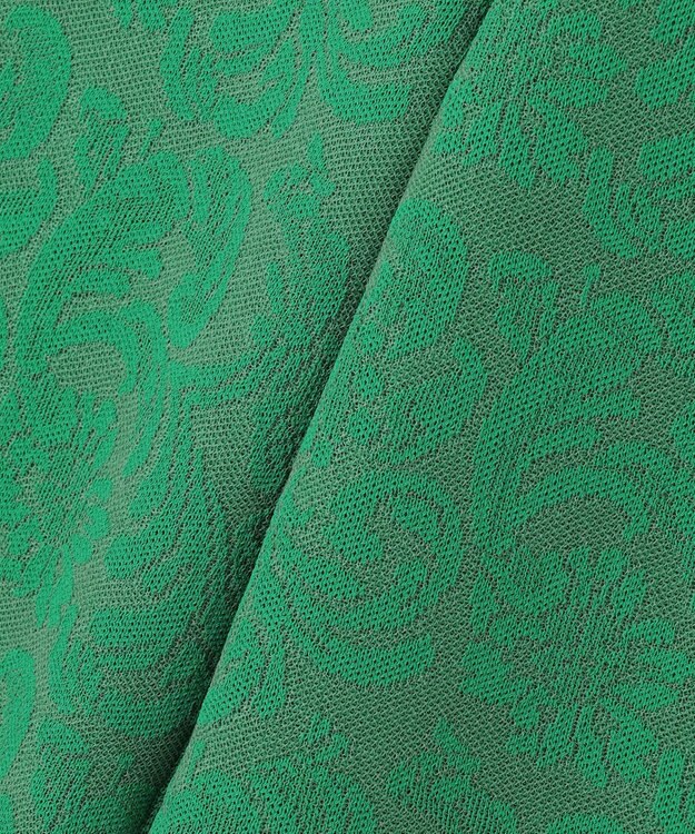 自由区 【Premium Collection】レースジャガードニット パンツ グリーン系