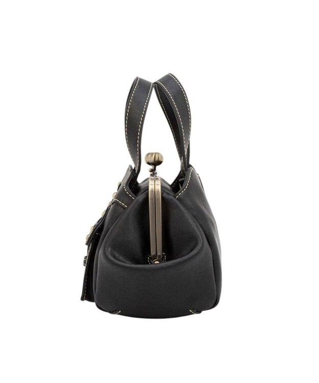 ANNA SUI キャロル 2WAYハンドバッグ クロ