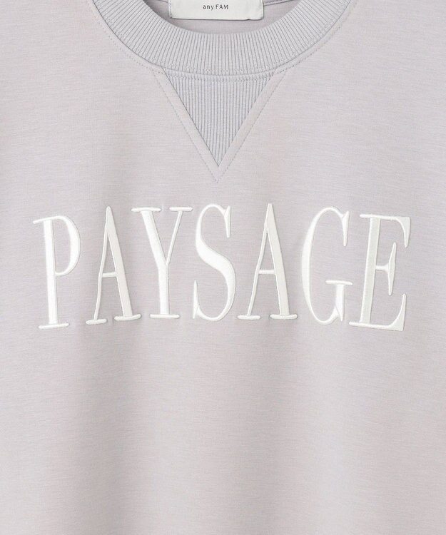 ANY ダンボールエンブロイダリープルオーバー ライトグレー