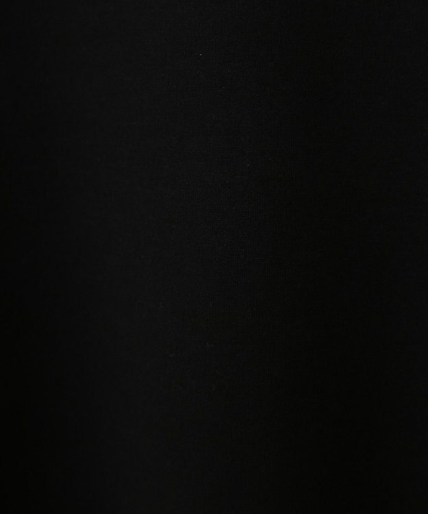 AMERICAN HOLIC 袖チュール重ねプルオーバー Black