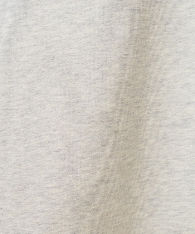 AMERICAN HOLIC ＣＯＹＲＡＧＥフロッキーロングスウェット2 Oatmeal