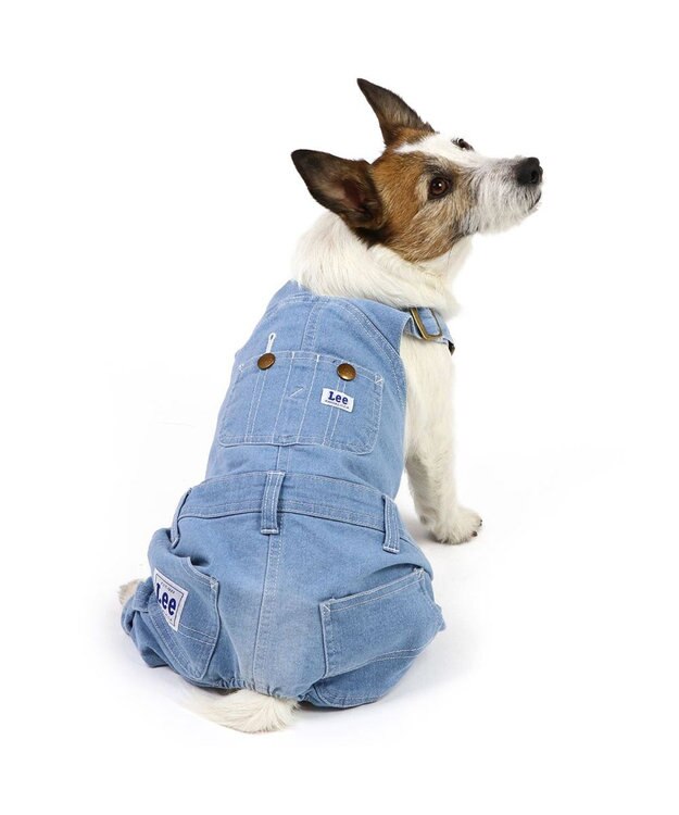 PET PARADISE Lee ライトデニム オーバーオール 小型犬 ブルー