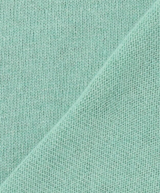 ANY L 【手洗い可】イタリーヤーンウールカシミヤミックスプルオーバー ミント