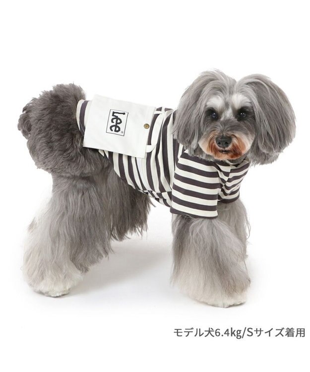 PET PARADISE Lee ショルダー ボーダー Ｔシャツ 小型犬 ボーダー