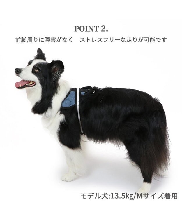 PET PARADISE ヘッドインハーネス  【Ｍ】オレンジ / ブルー 【中型犬 大型犬】 オレンジ×グレー