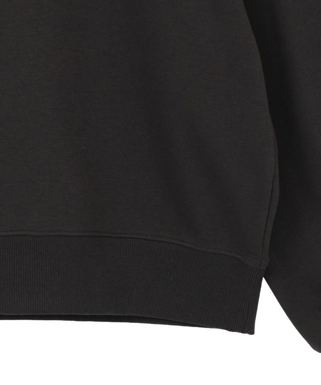 AMERICAN HOLIC フレンチロゴ裏起毛プルオーバー Charcoal Gray