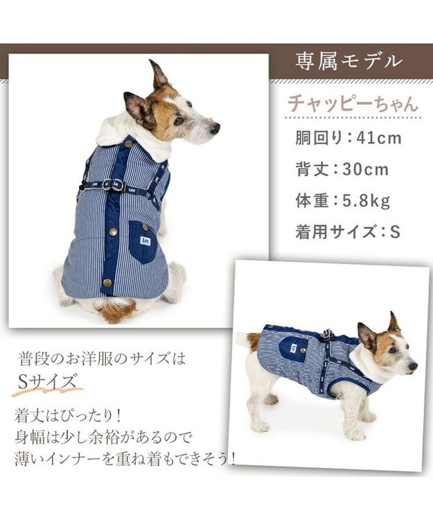 PET PARADISE Lee アウターハーネス 《ヒッコリー》 小型犬 ネイビー×ホワイト