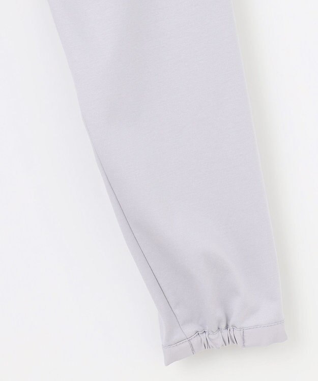 J.PRESS LADIES L シャツジャージー バンドカラー カットソー ライトグレー系