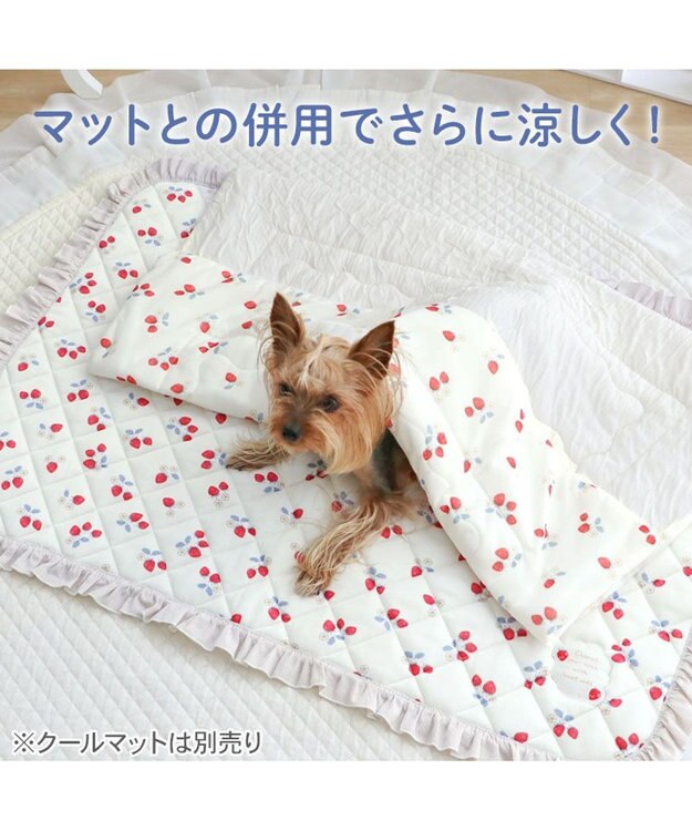 PET PARADISE ペットパラダイス もちっと クール ブランケット 《苺柄》 ホワイト×レッド