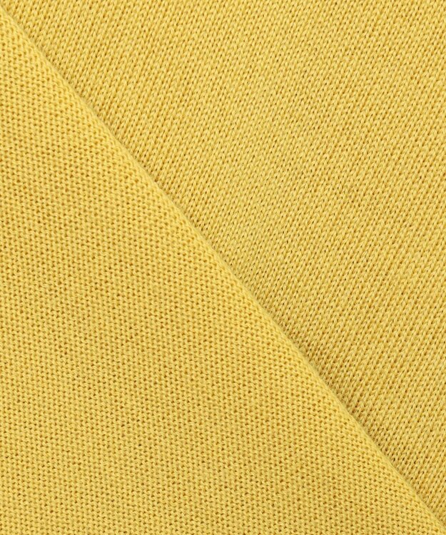 23区 【洗える】ウールテンジク Vネック ニット イエロー系