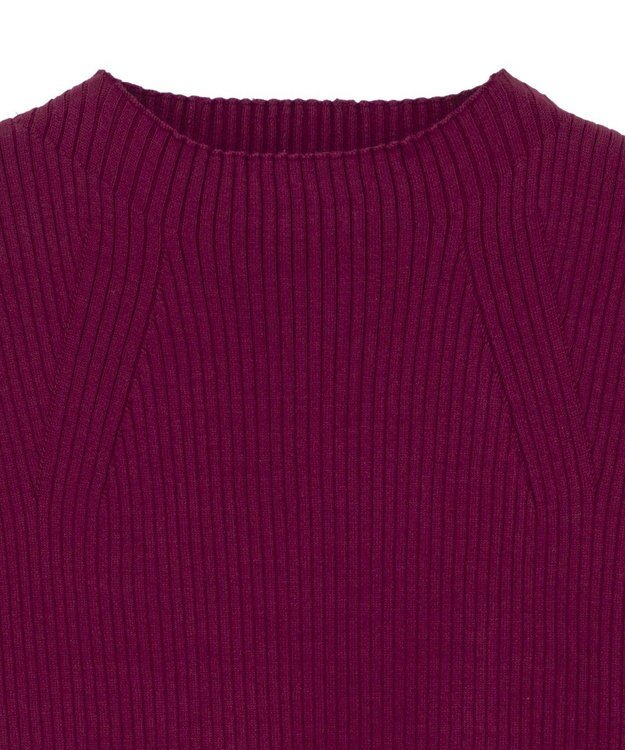 earth music&ecology ランダムリブボトルネックノースリーブニット Bordeaux