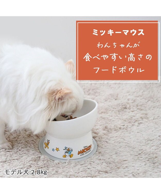 PET PARADISE ディズニー ミッキーマウス 高さのある フードボウル 白～オフホワイト
