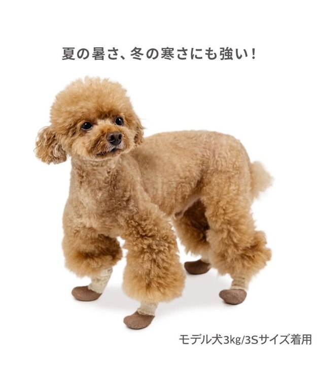 PET PARADISE ペットパラダイス フリル フィット靴 Ｓ ベージュ×ブラウン