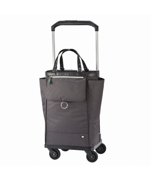 ACE BAGS & LUGGAGE soelte オートュイユ お買い物キャリー 21L 35981 ソエルテ ソフトスーツケース チャコールグレー