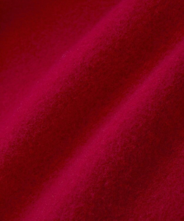 Green Parks ＦＡＮＴＡＳＩＡ／ワンポイントプリントパーカー Red