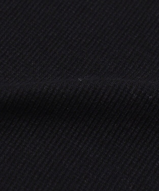 WEGO 別注HondaサイドドロストロンT ブラック