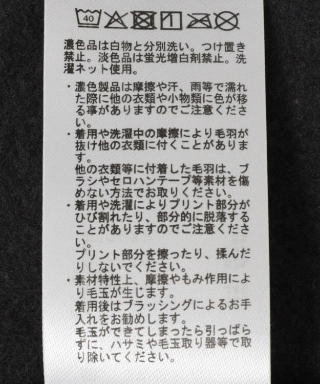 AMERICAN HOLIC フレンチロゴ裏起毛プルオーバー Charcoal Gray