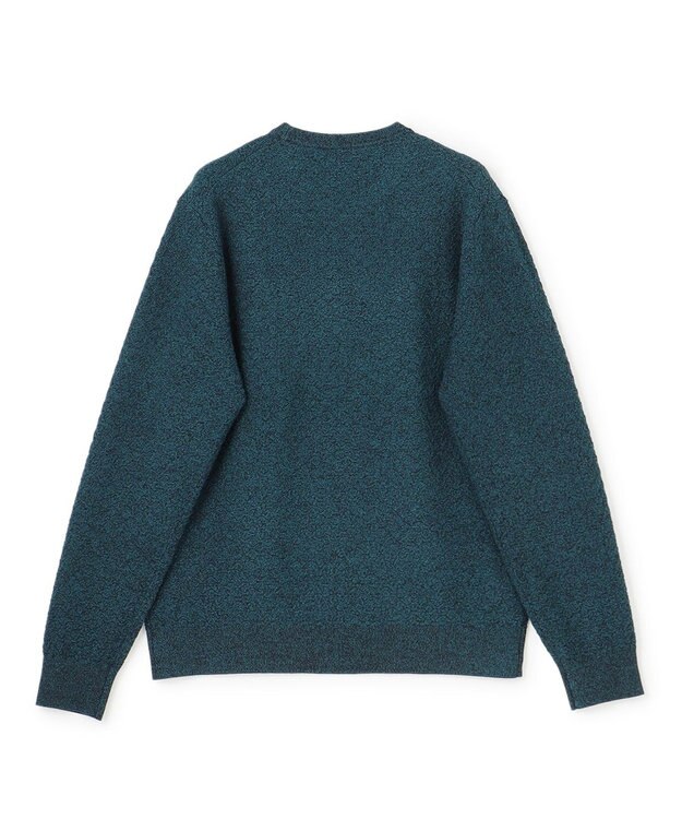 JOSEPH HOMME 【イージーケア】 ヴィスコースリンクス　クルーネックニット スモーキーグリーン系