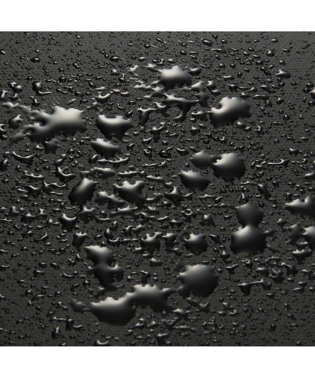 ACE BAGS & LUGGAGE ace. EVL-4.0 10th ビジネスバッグ  B4サイズ 15.6インチPC収納 20/25L エキスパンド 68952 エース ブラック