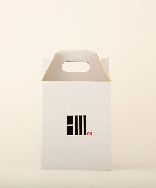 ちょうちん堂 【cocolan Muji】恐竜 ちょうちん ライト ホワイト