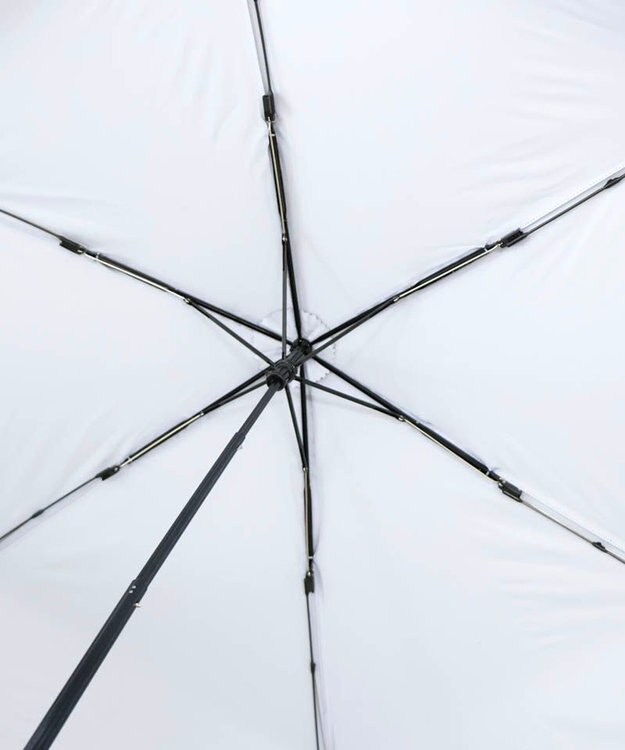 AURORA Blao（ブラオ） 超耐風 オールシーズン傘（折りたたみ・60㎝） サックス