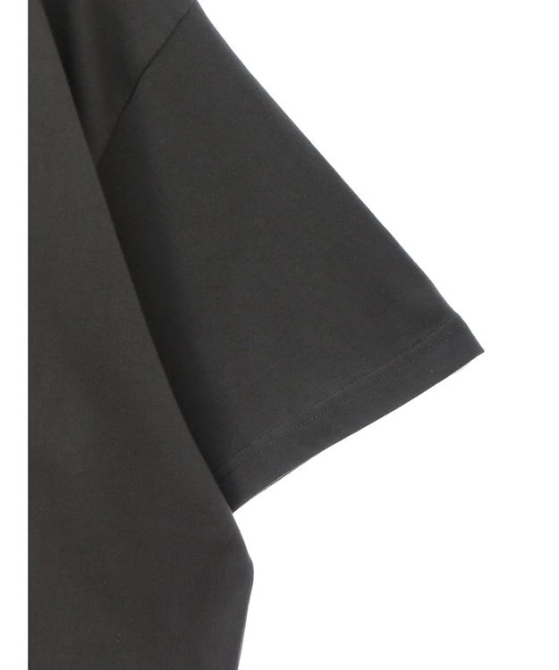 Green Parks ■ＭＩＣＨＡＥＬ　ＪＡＣＫＳＯＮ　ＰＨＯＴＯ　ＴＥＥ Charcoal Gray