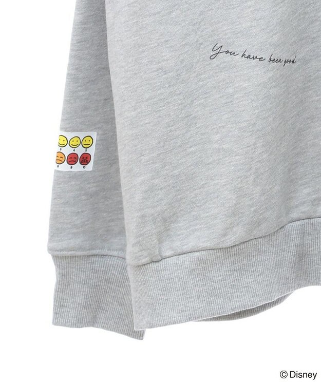 Green Parks １０ｔｈベイマックス／ランダムロゴプルオーバー Gray Mixture