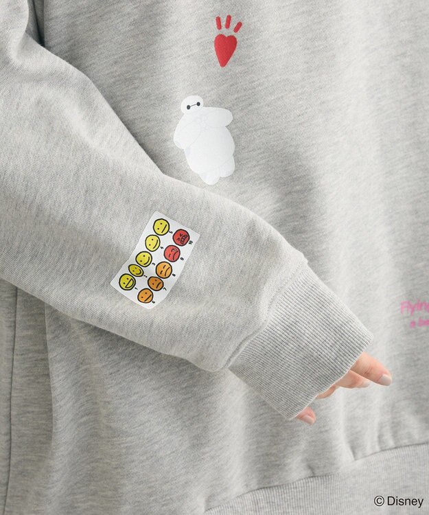 Green Parks １０ｔｈベイマックス／ランダムロゴプルオーバー Gray Mixture