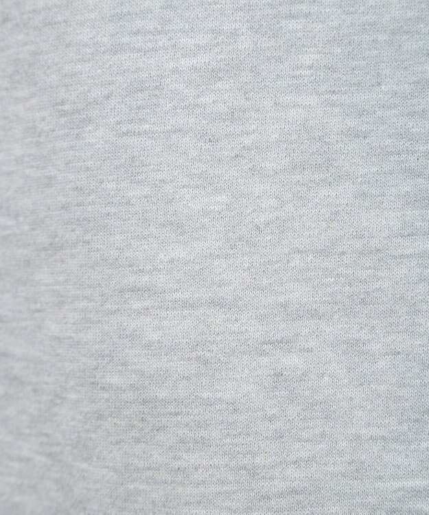 Green Parks １０ｔｈベイマックス／ランダムロゴプルオーバー Gray Mixture