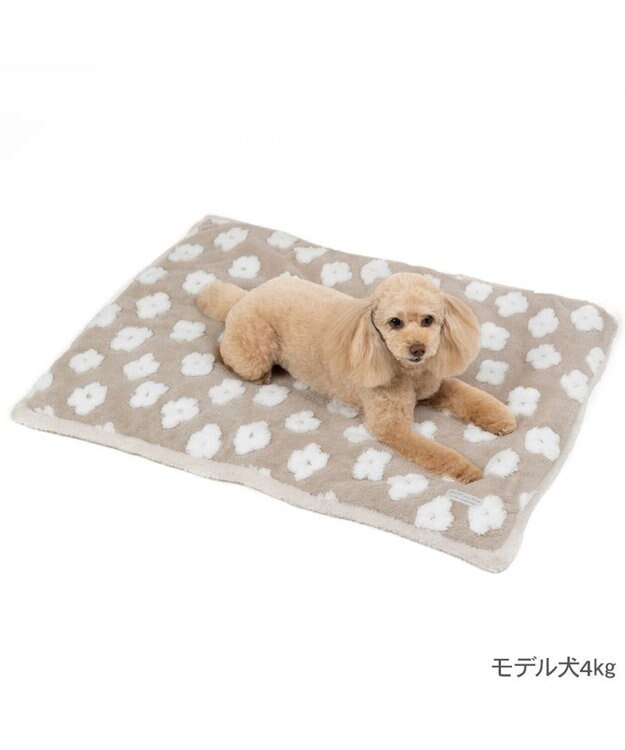 PET PARADISE ペットパラダイス 遠赤外線 ボアマット 《お花柄》角型 小型犬 ベージュ