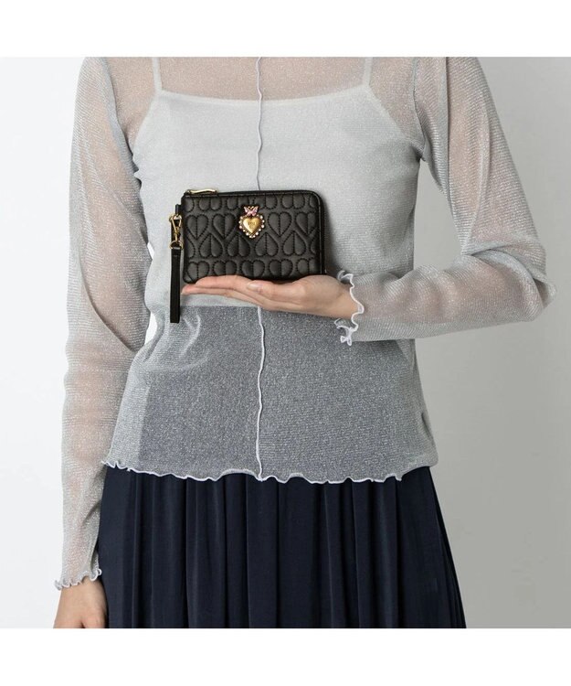 ANNA SUI ドリーミー マルチケース クロ