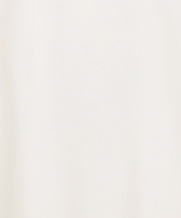 ANY 【UVカット/抗菌防臭/速乾/手洗い可】エニィファンクション ボリュームスリーブシャツ オフ