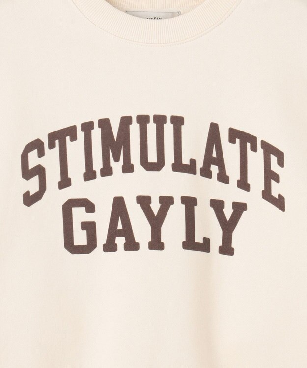 ANY 【洗濯機可】裏起毛スウェットロゴプルオーバー エクリュ