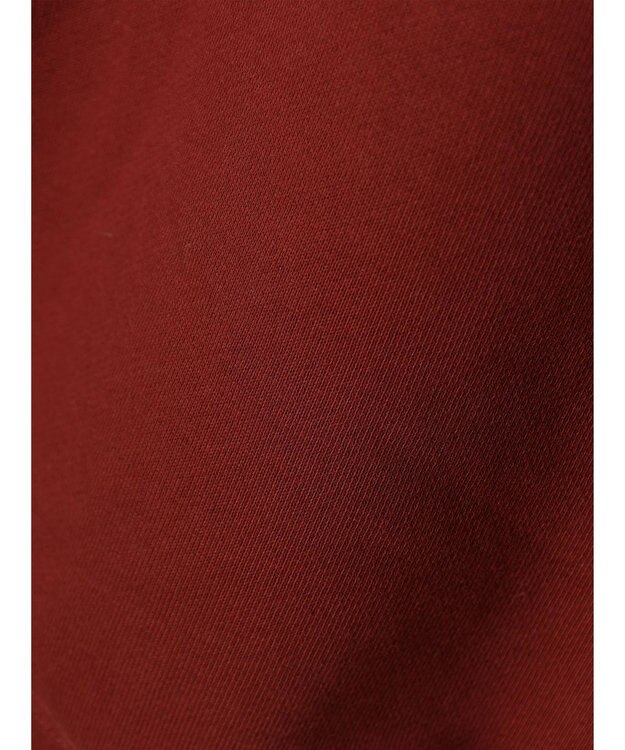 Green Parks ハリーポッター／裏毛ロゴフーディー Red