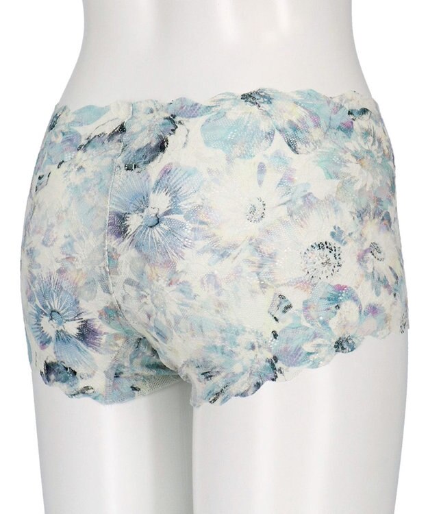 WACOAL ショーツ 【GOCOCi ゴコチ】 CGG297とペア 肌あたりのやさしいレース アウターにひびきにくい はきこみ丈あさめ レディース PGG197 /ワコール サックス