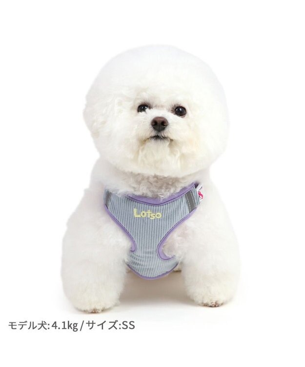 PET PARADISE ディズニー トイ・ストーリー ロッツォ マスコット付き ハーネス Ｓ 小型犬 ピンク（濃）