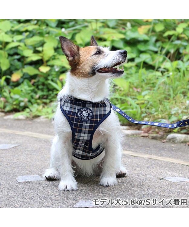 PET PARADISE J.PRESS ビエラチェック ハーネス リード【ＳＳ】小型犬 マルチカラー