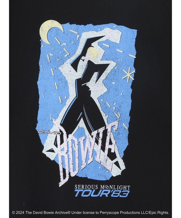 Green Parks ■Ｄａｖｉｄ　Ｂｏｗｉｅ　ＴＯＵＲ　ＴＥＥ Black