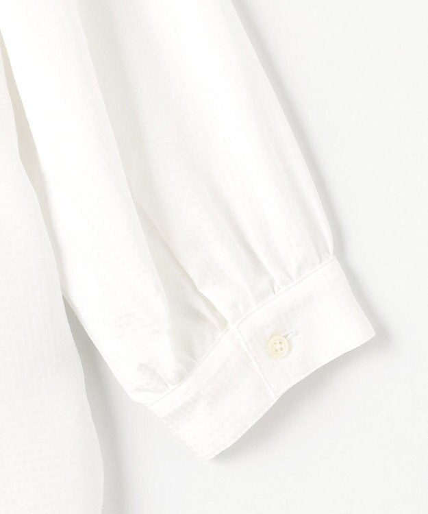 J.PRESS LADIES S 【洗える】アセVisシャドーギンガム シャーリング ブラウス ホワイト系