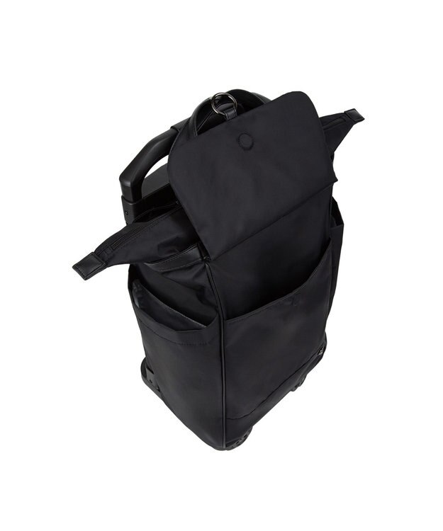 ACE BAGS & LUGGAGE soelte オートゥイユ お買い物キャリーバッグ 21L 機内持込 キャスターストッパー 36002 ソエルテ ブラック