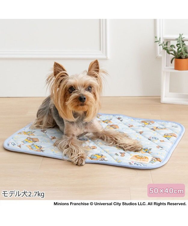 PET PARADISE ミニオン ボブティム クールマット Ｓ ブルー