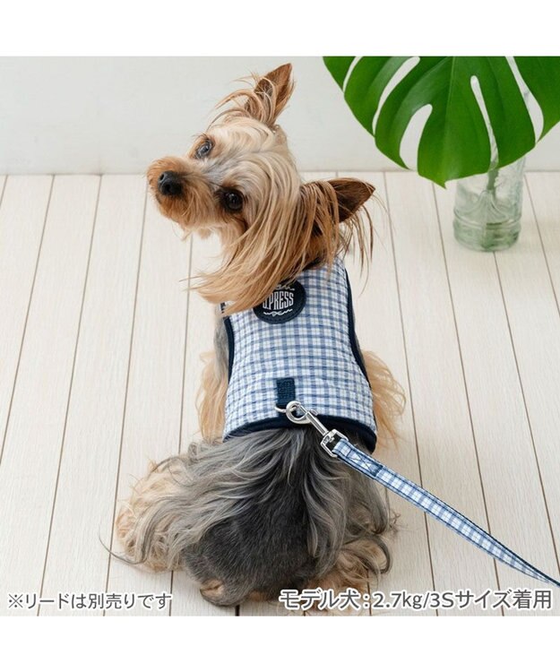 PET PARADISE J.PRESS クールベスト ハーネス 《チェック柄》 Ｓ 小型犬 ホワイト×ブルー