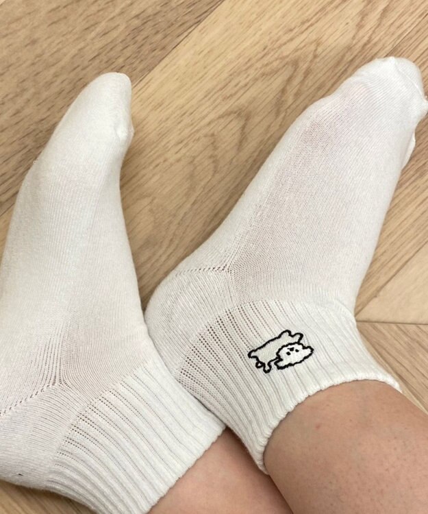 WEGO アンクルパイルゆる刺繍ソックス 柄2