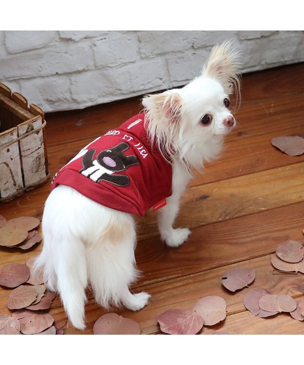 PET PARADISE リサとガスパール 遠赤外線 ベスト 《ハート》 小型犬 赤