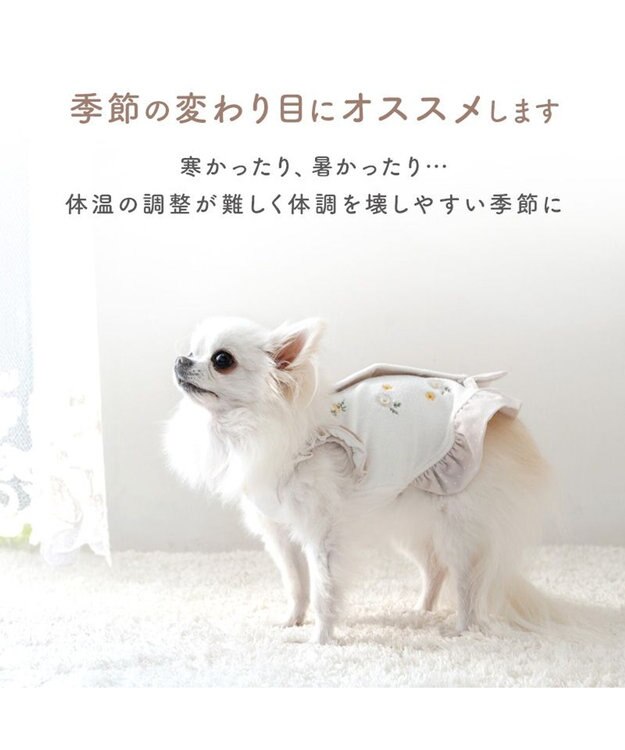 PET PARADISE ペットパラダイス サーモキープ ベスト 《マーガレット》 超小型犬 小型犬 ホワイト