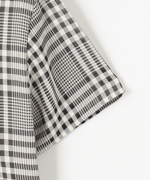 J.PRESS LADIES 【WEB限定カラーあり・洗える】シアーチェック カットソー ブラック×アイボリーギンガム系