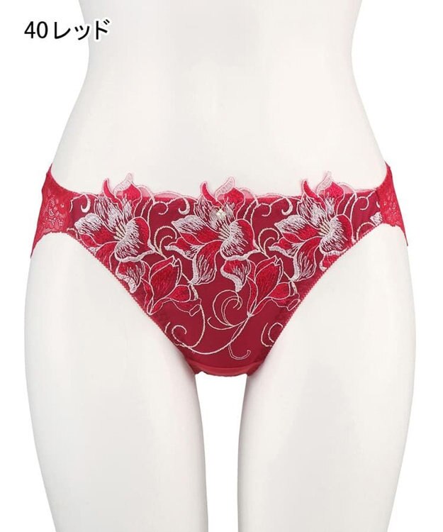 San-ai Resort（三愛水着楽園） エレガントコレクション2311ノーマルショーツ  【M・Lサイズ】【northerly】 レッド