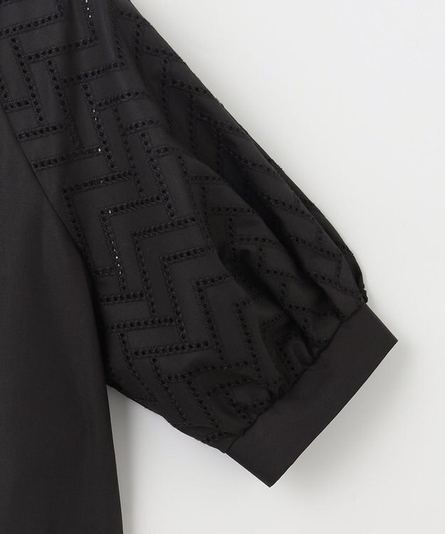 ANY SIS 【洗える】エンブロイダリーラグラン ブラウス ブラック