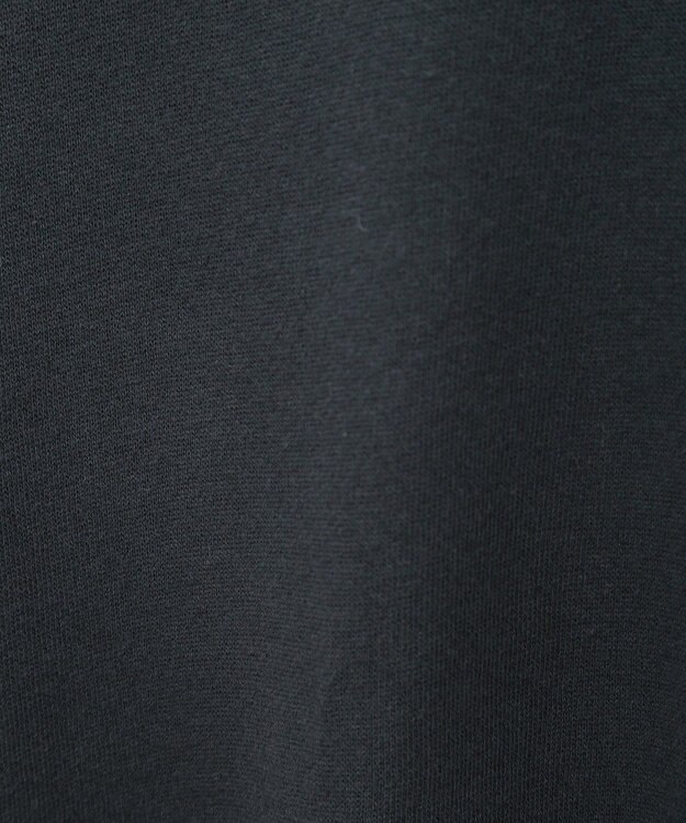 Green Parks ■ＲＵＳＳＥＬＬ　ロゴ刺繍スウェット Charcoal Gray