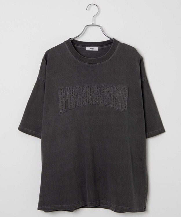 WEGO ピグメントダメージアップリケT（S） スミクロ